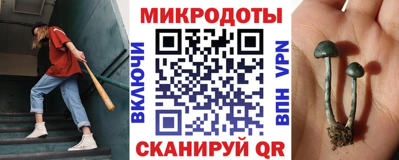 omg ссылка  Ейск  Галлюциногенные грибы MAGIC MUSHROOMS 